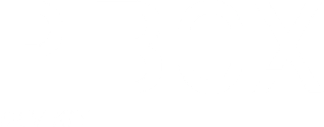 P.BOX Development Kit Logo